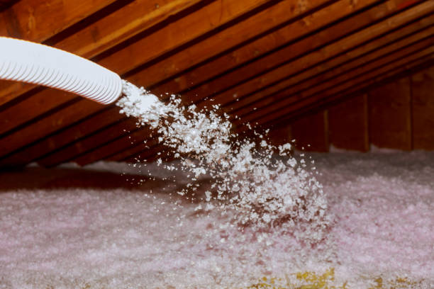 Best Cellulose Insulation in Budd Lake, NJ