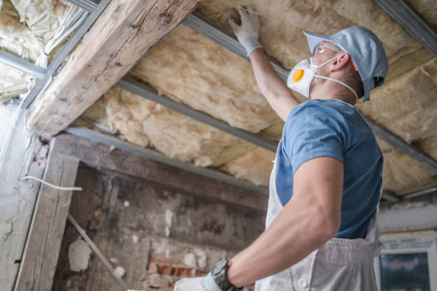 Best Energy Efficiency Insulation in Budd Lake, NJ